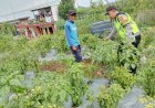 Polres Malang Jadikan Petani Mitra Jaga Ketersediaan Pangan