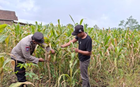 Polres Malang Dorong Pangan Produktif Sekaligus Gerakkan Ekonomi Warga